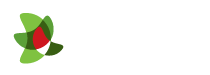 Plan Ceibal
