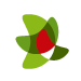 Plan Ceibal